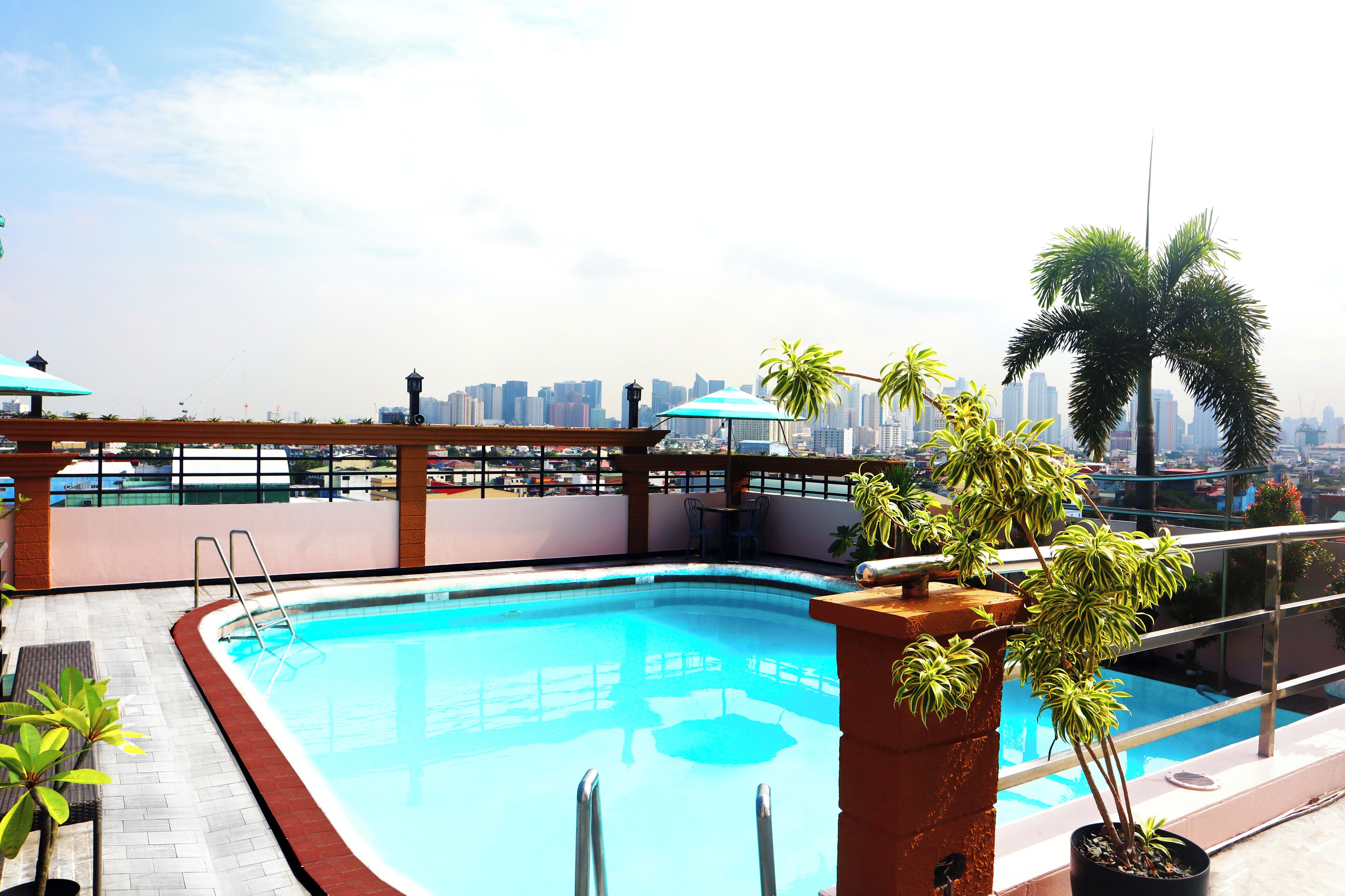 A rooftop pool with a city skyline view, a covered seating area, and potted plants.