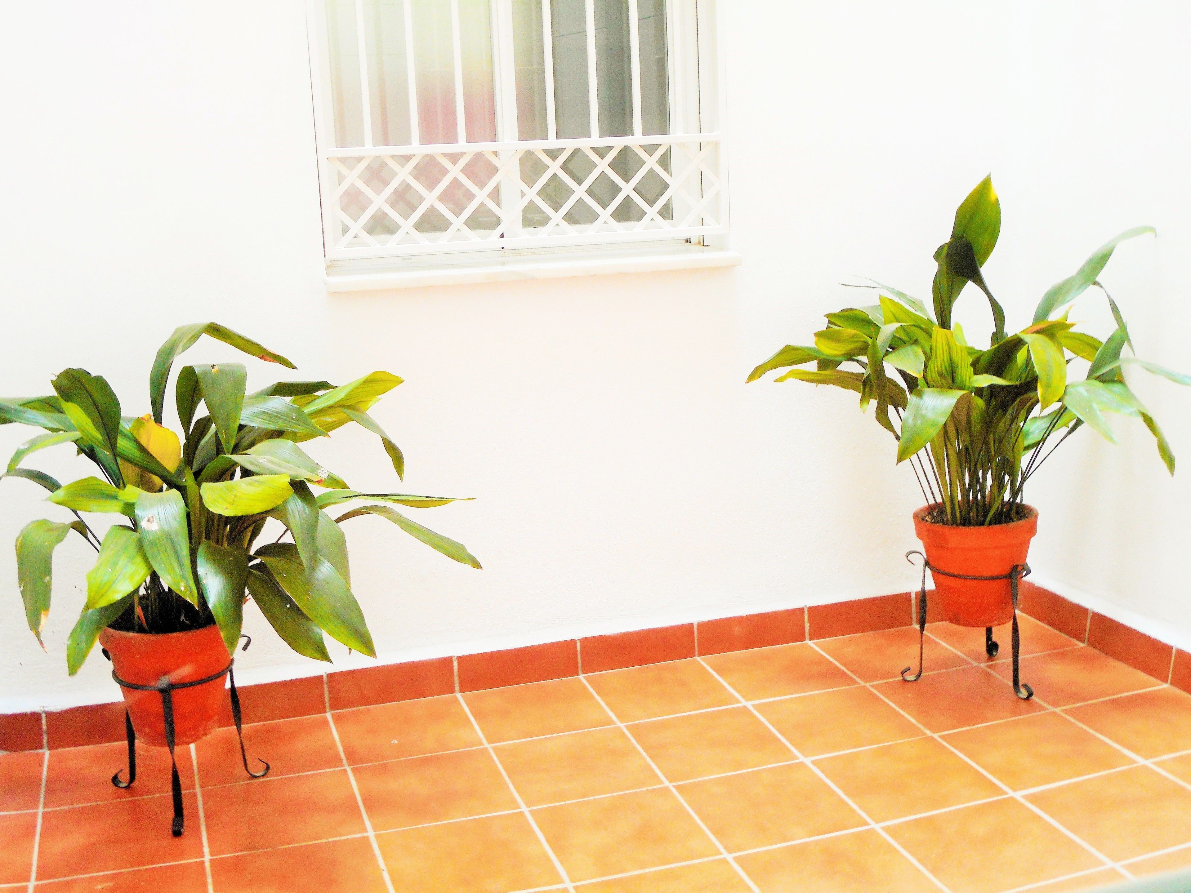 Foto - Martin House & Granada