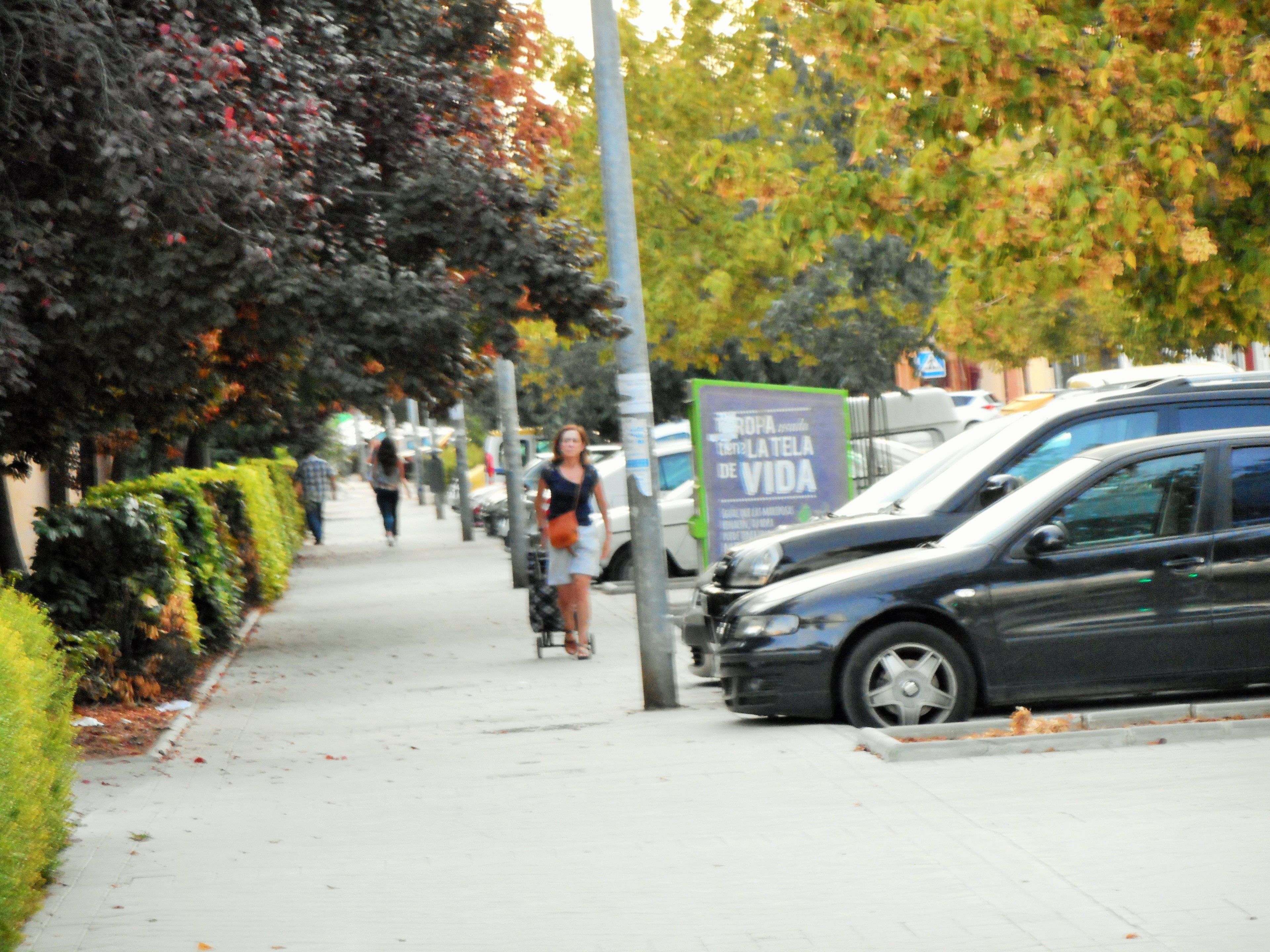 Foto - Martin House & Granada