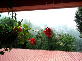 Vista desde un balcón con techo rojo, que da a una zona boscosa brumosa con flores rojas en primer plano.