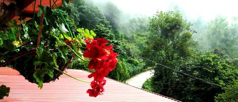 A red metal roof with a hanging red flower arrangement and a view of a green forested area.