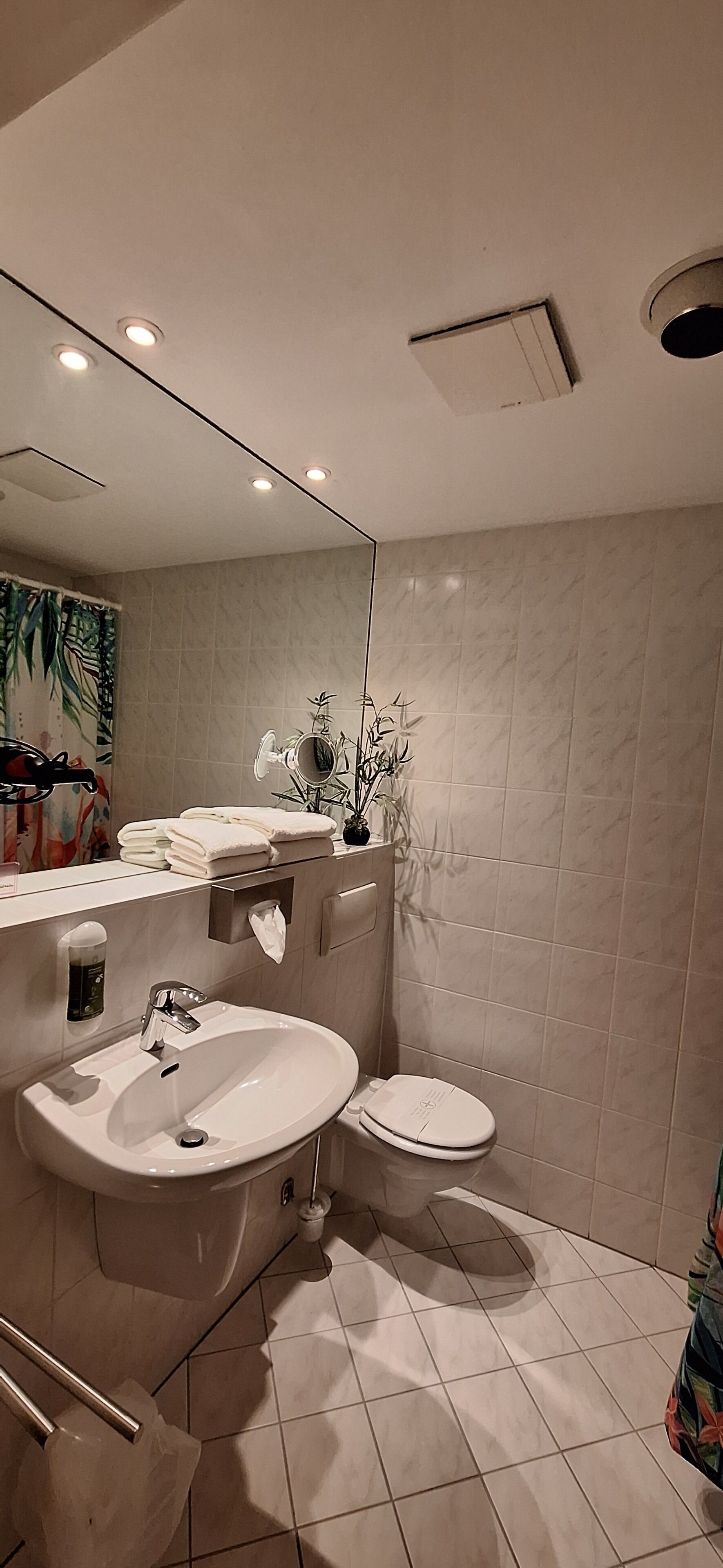 exclusive double room, non smoking | bathroom | free toiletries, hair dryer, towels, soap