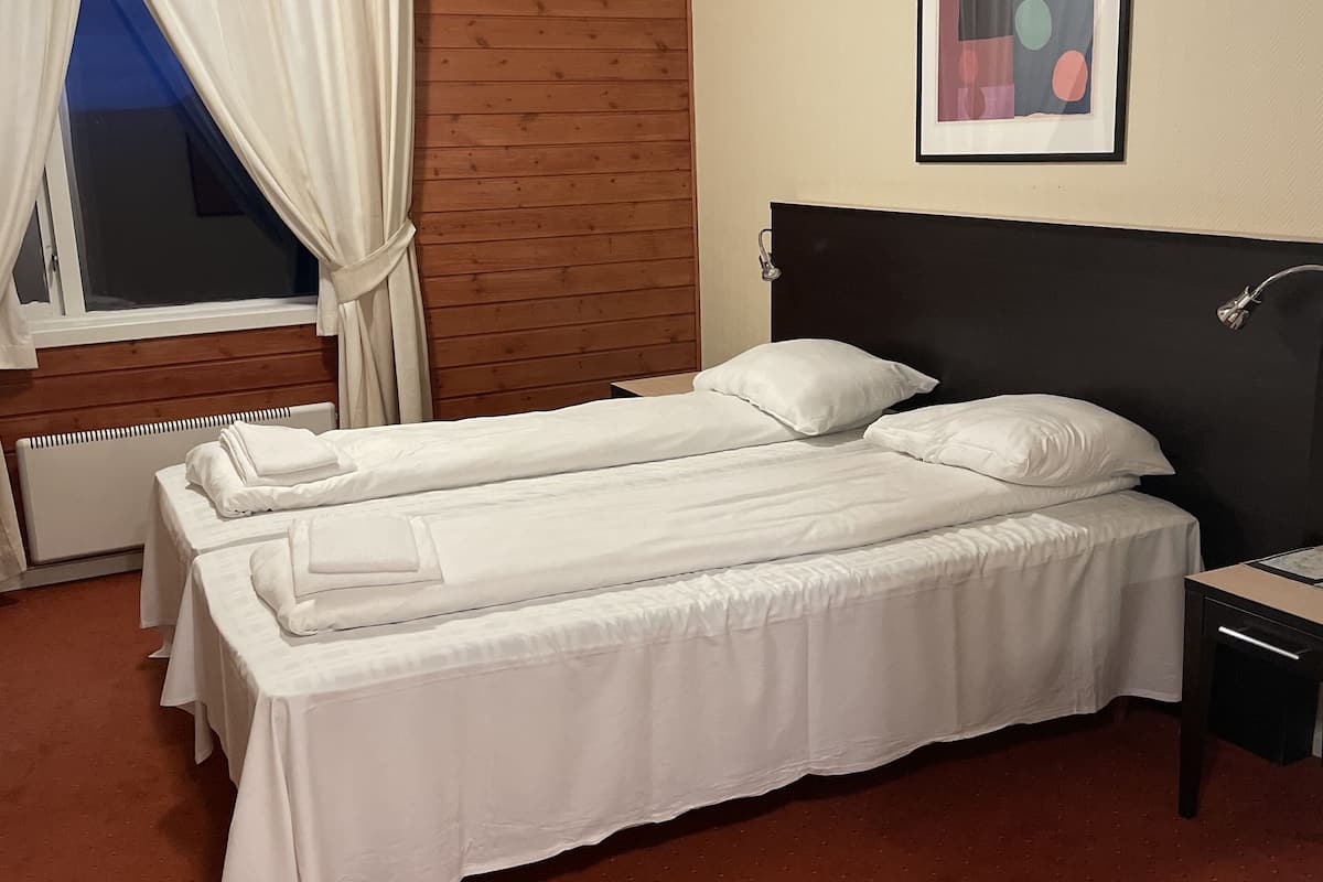 economy double or twin room | 1 bedroom, premium bedding, free wifi, bed sheets