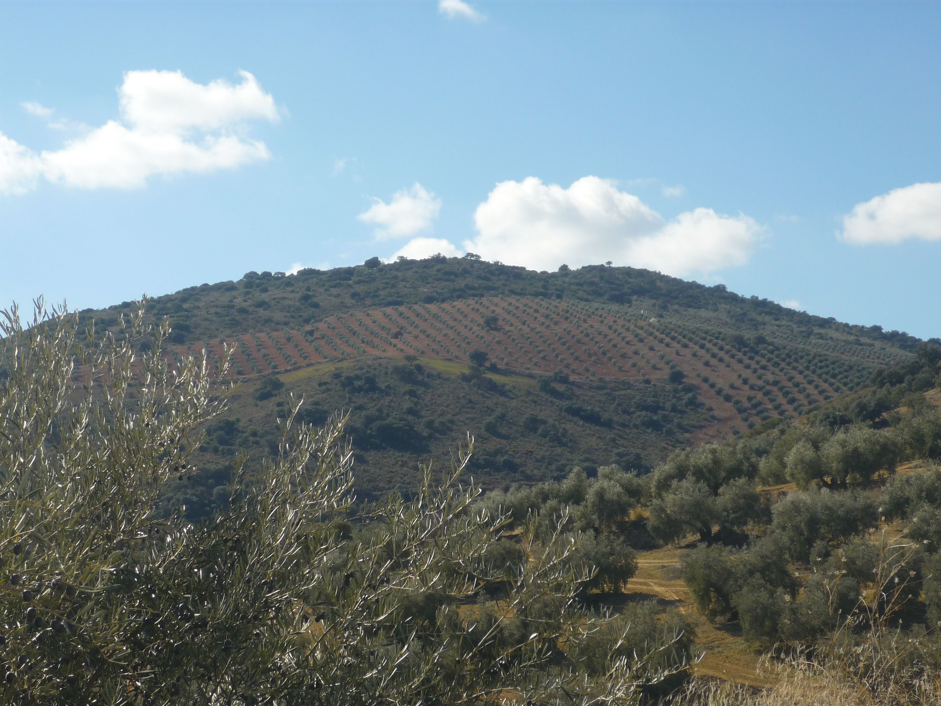 Foto - Caseria De San José