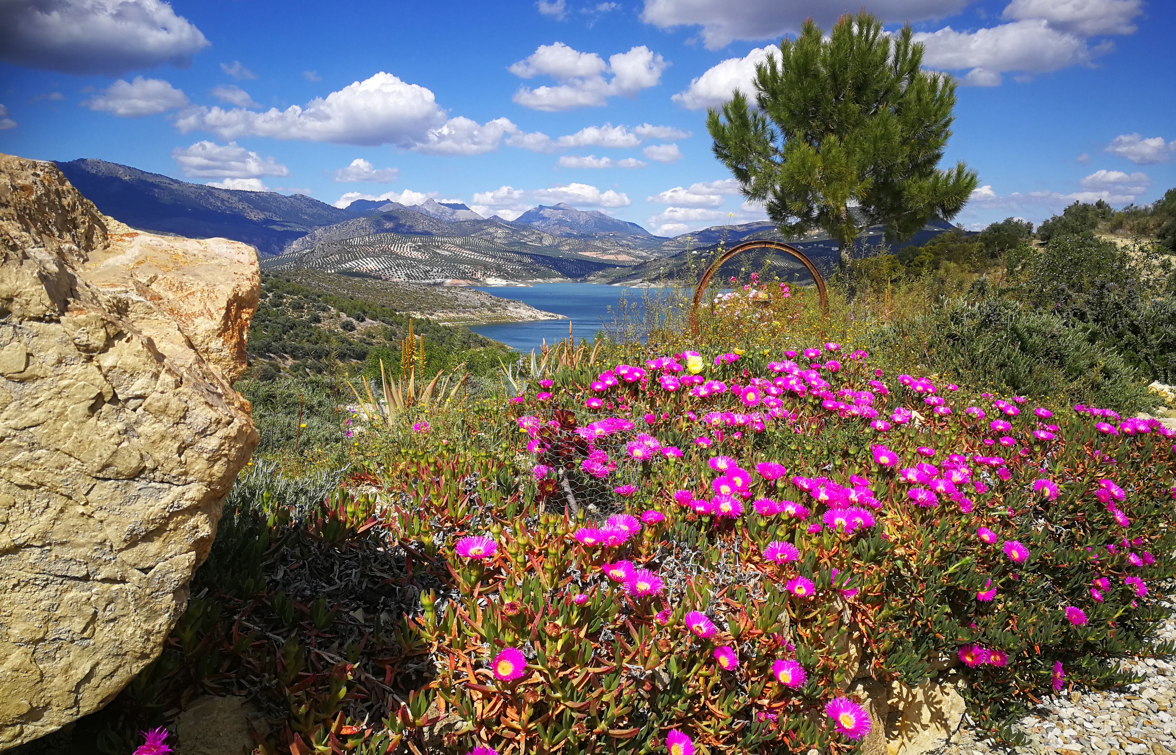 Foto - Caseria De San José
