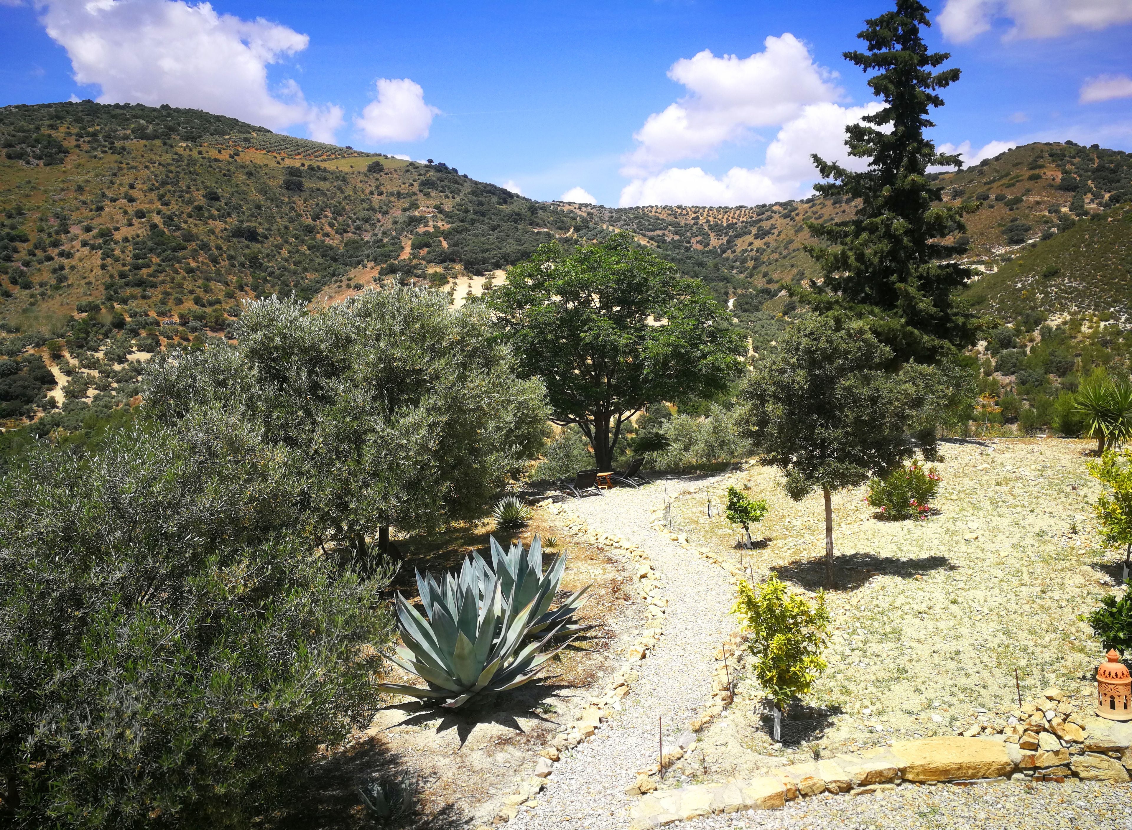 Foto - Caseria De San José