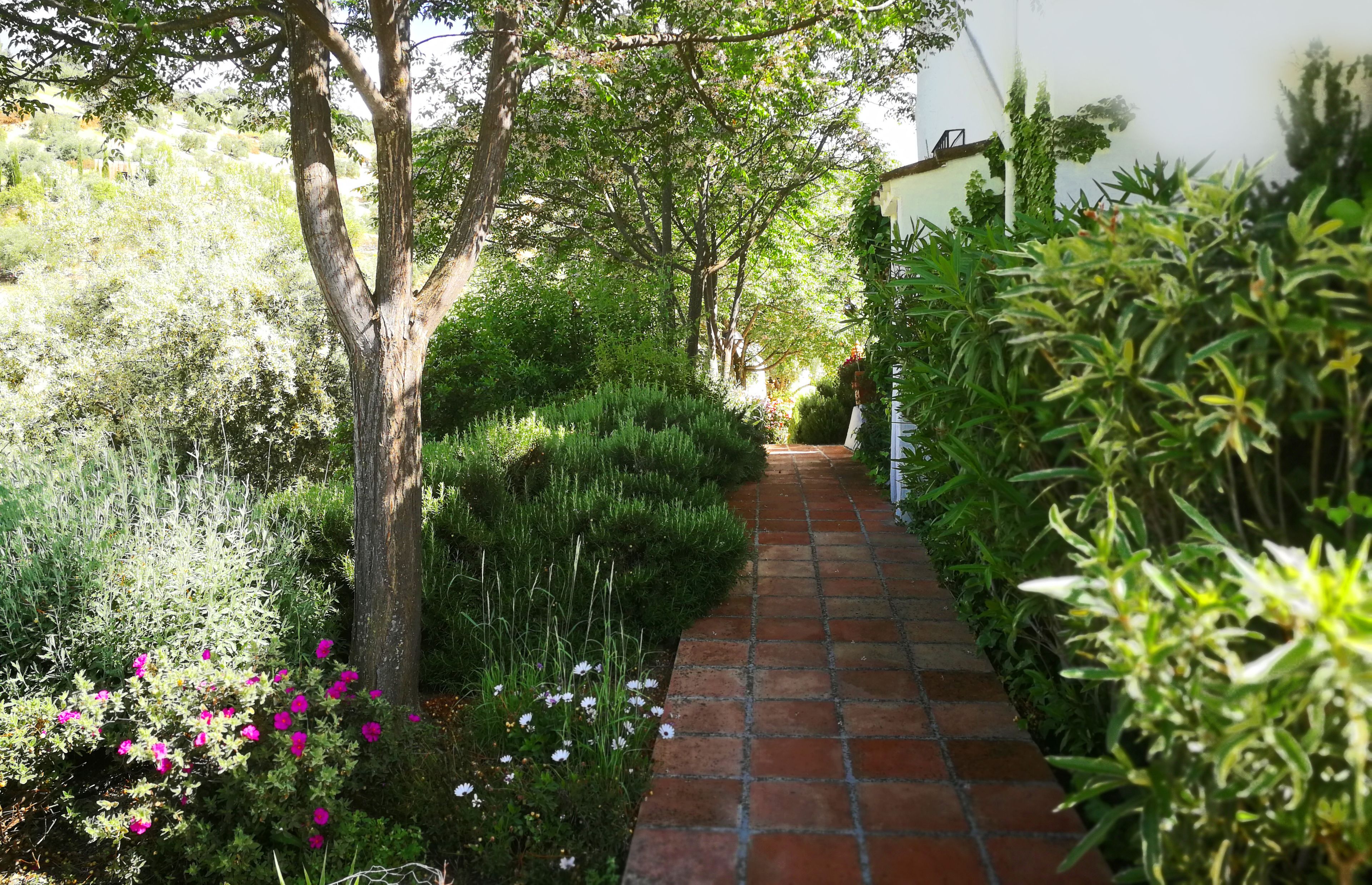 Foto - Caseria De San José