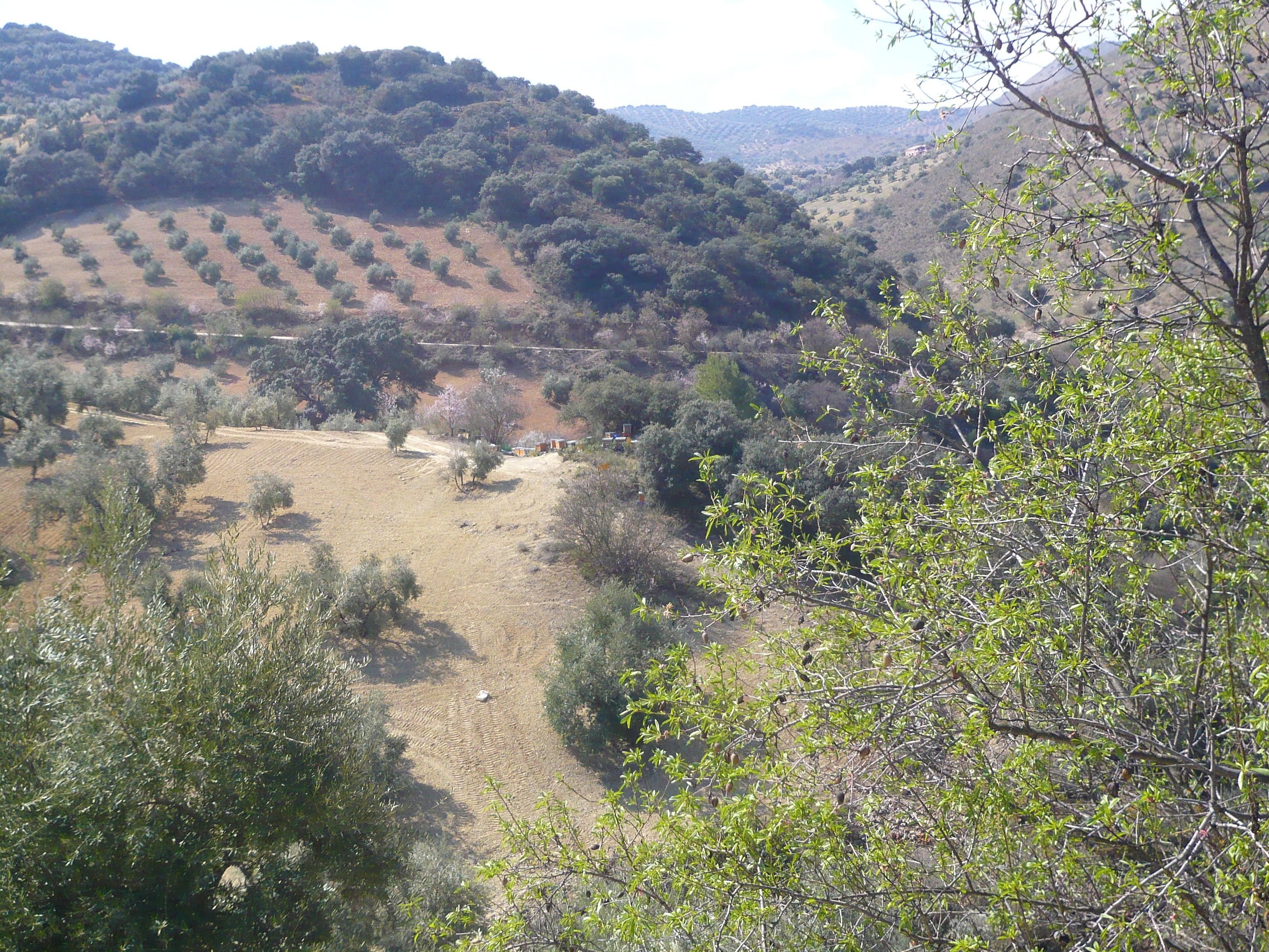 Foto - Caseria De San José