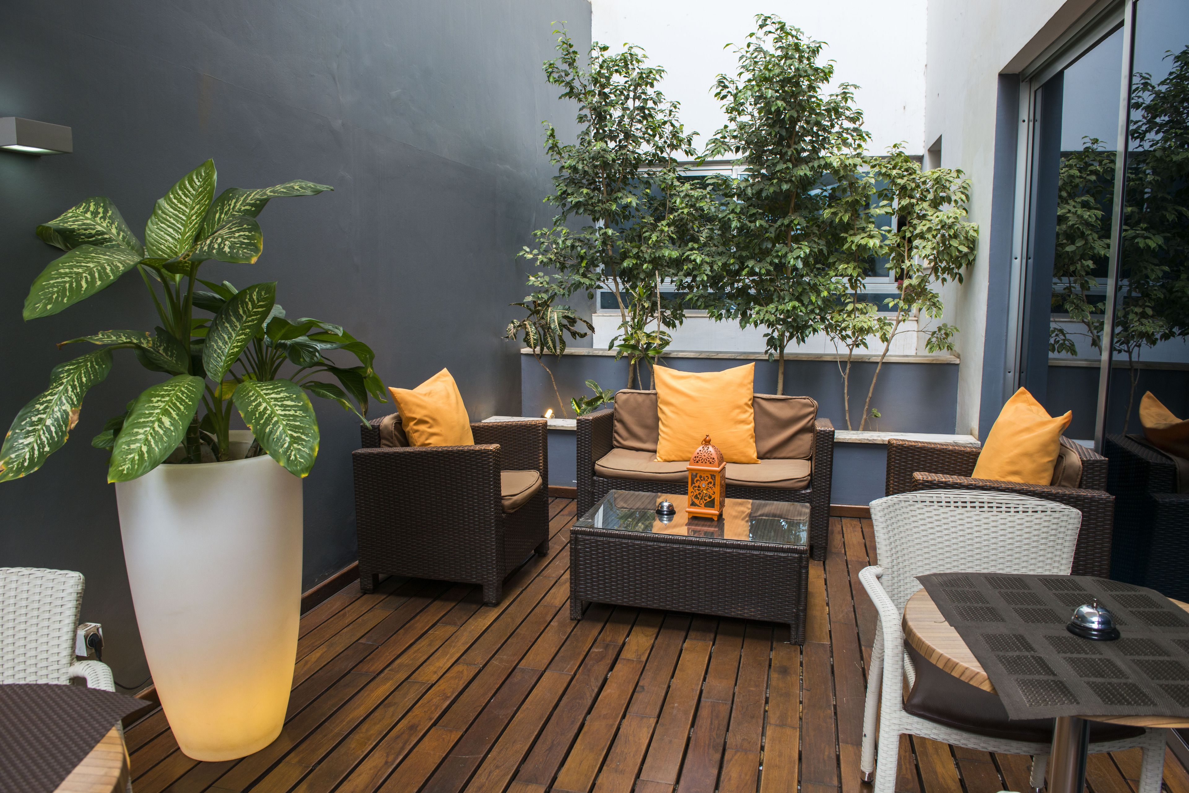 A modern outdoor seating area with wicker furniture, a large potted plant, and a glass table.