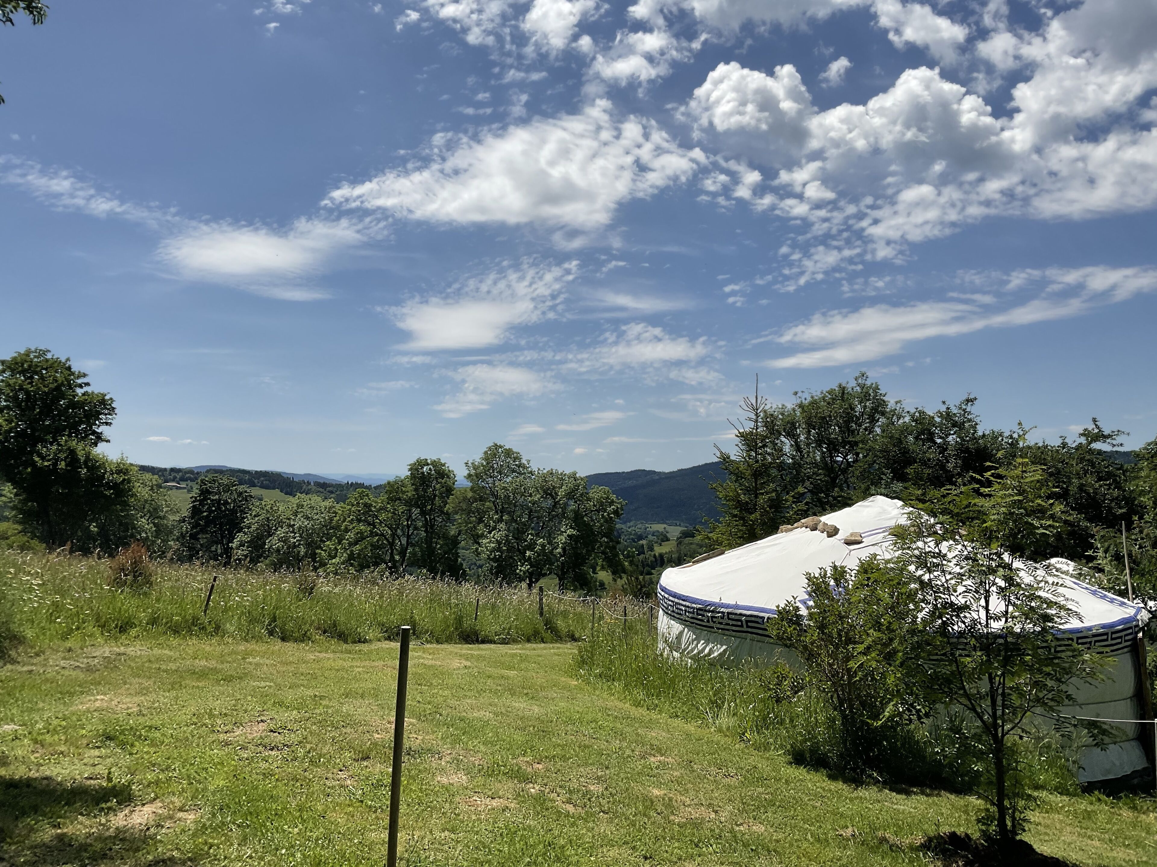 A grassy field with a white RV and a small tree in the foreground.