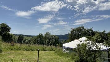 A grassy field with a white RV and a small tree in the foreground.