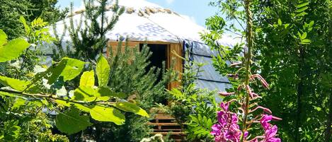 Pemandangan dari properti