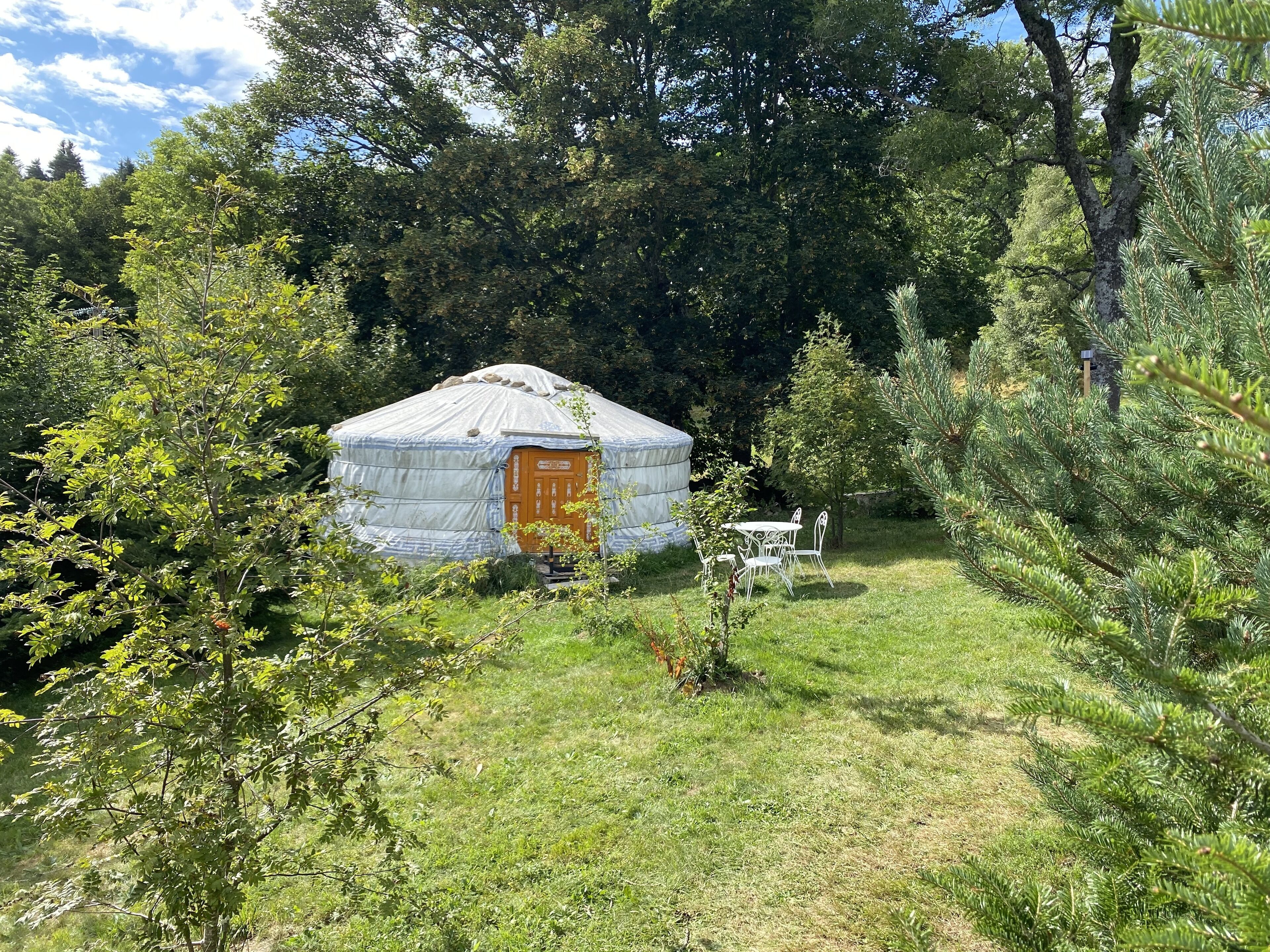 A yurt with a wooden door, surrounded by trees and grass.