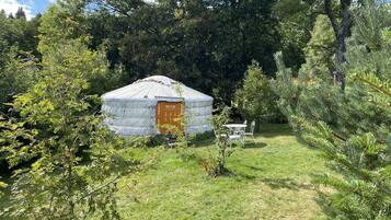A yurt with a wooden door, surrounded by trees and grass.