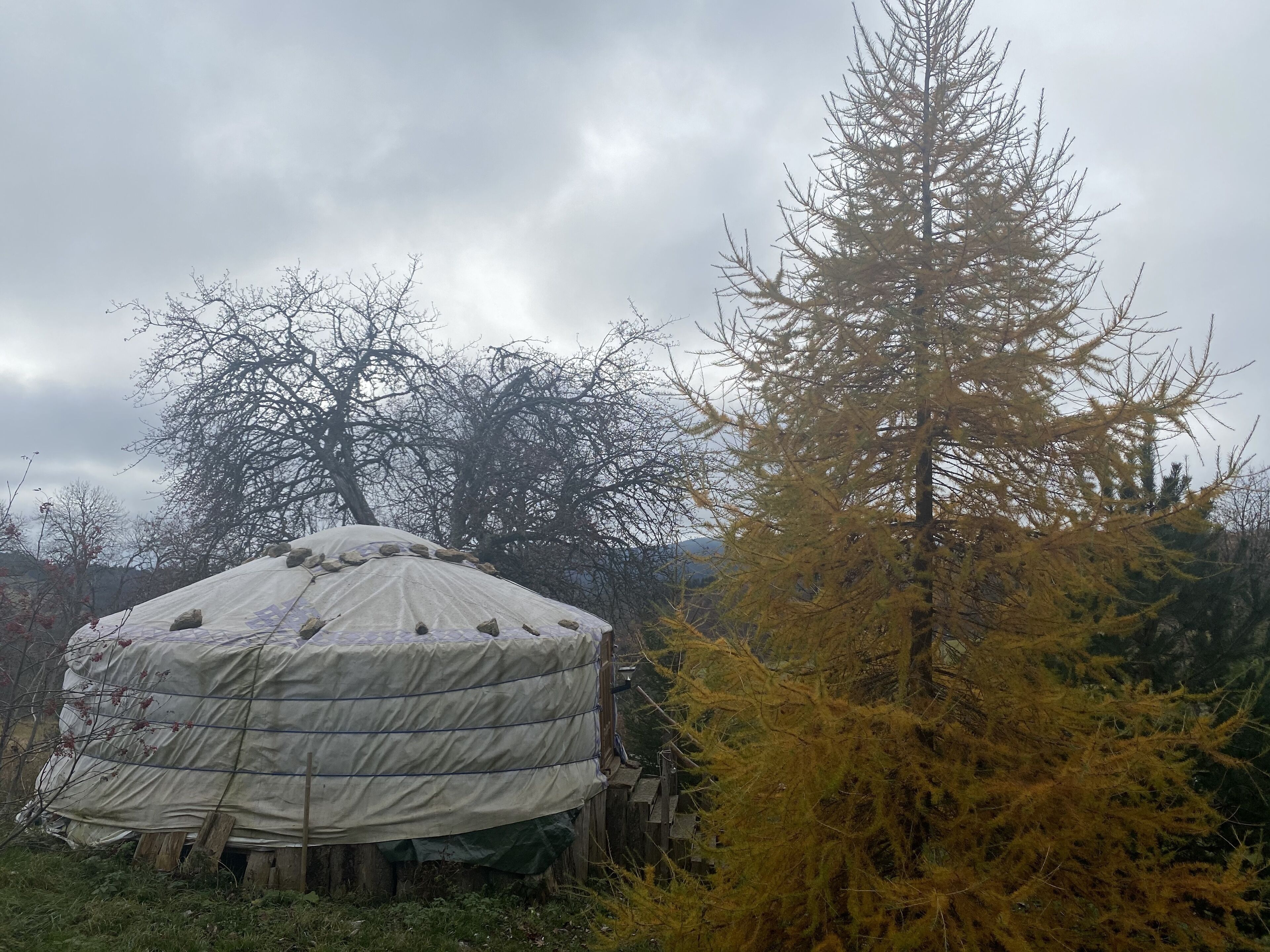 A traditional yurt with a conical roof, surrounded by trees and a cloudy sky.