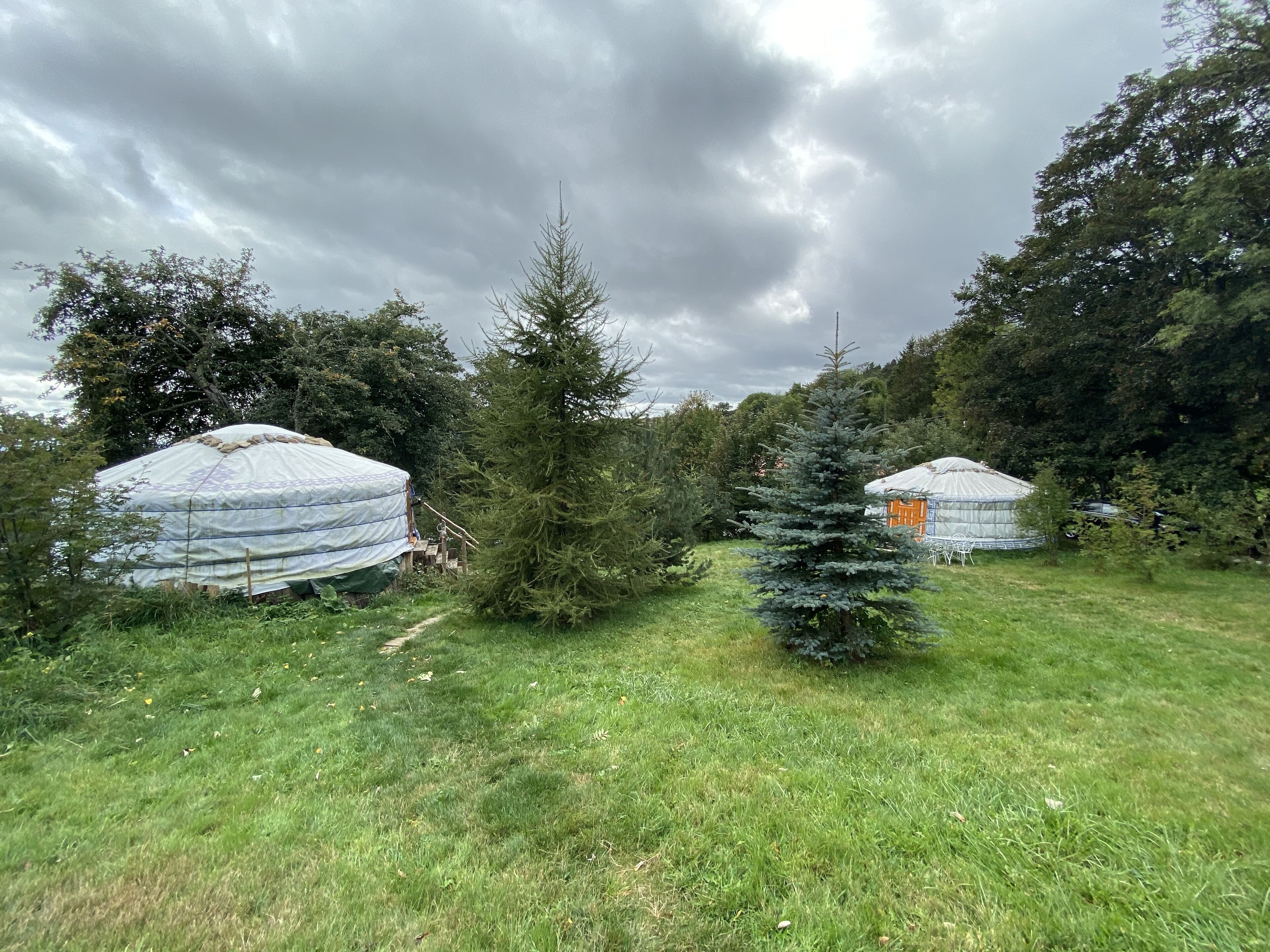 Yurts in a grassy field with trees in the background.