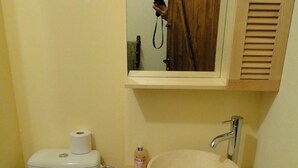 A small bathroom with a toilet, sink, and mirror. - Eco Yourte Les Airelles (Saint-Antheme)