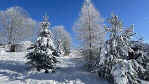 Schneebedeckte Landschaft mit einer Jurte und von Schnee beladenen Bäumen.