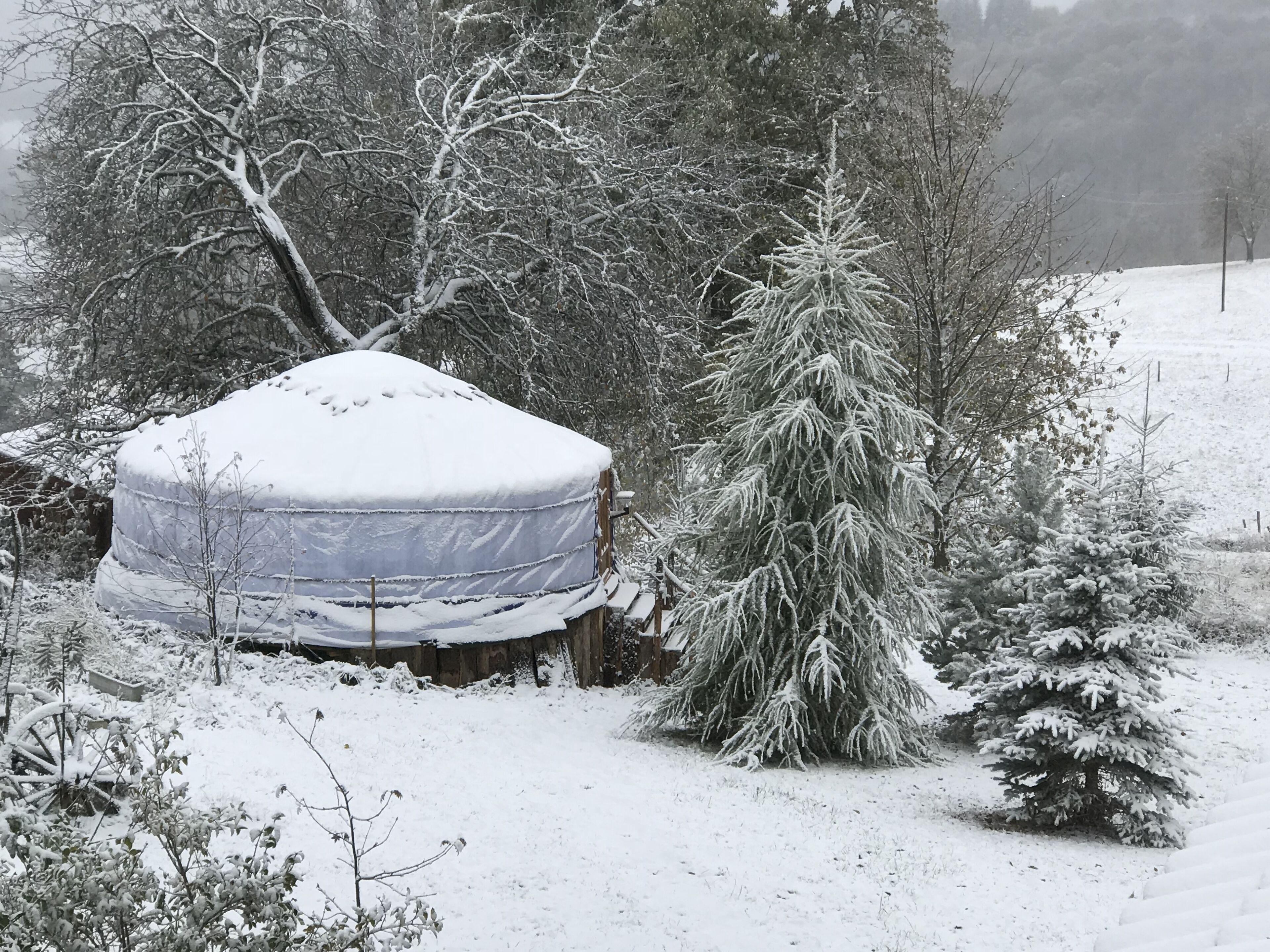 A snow-covered outdoor area with a wooden structure and a snow-covered tree.