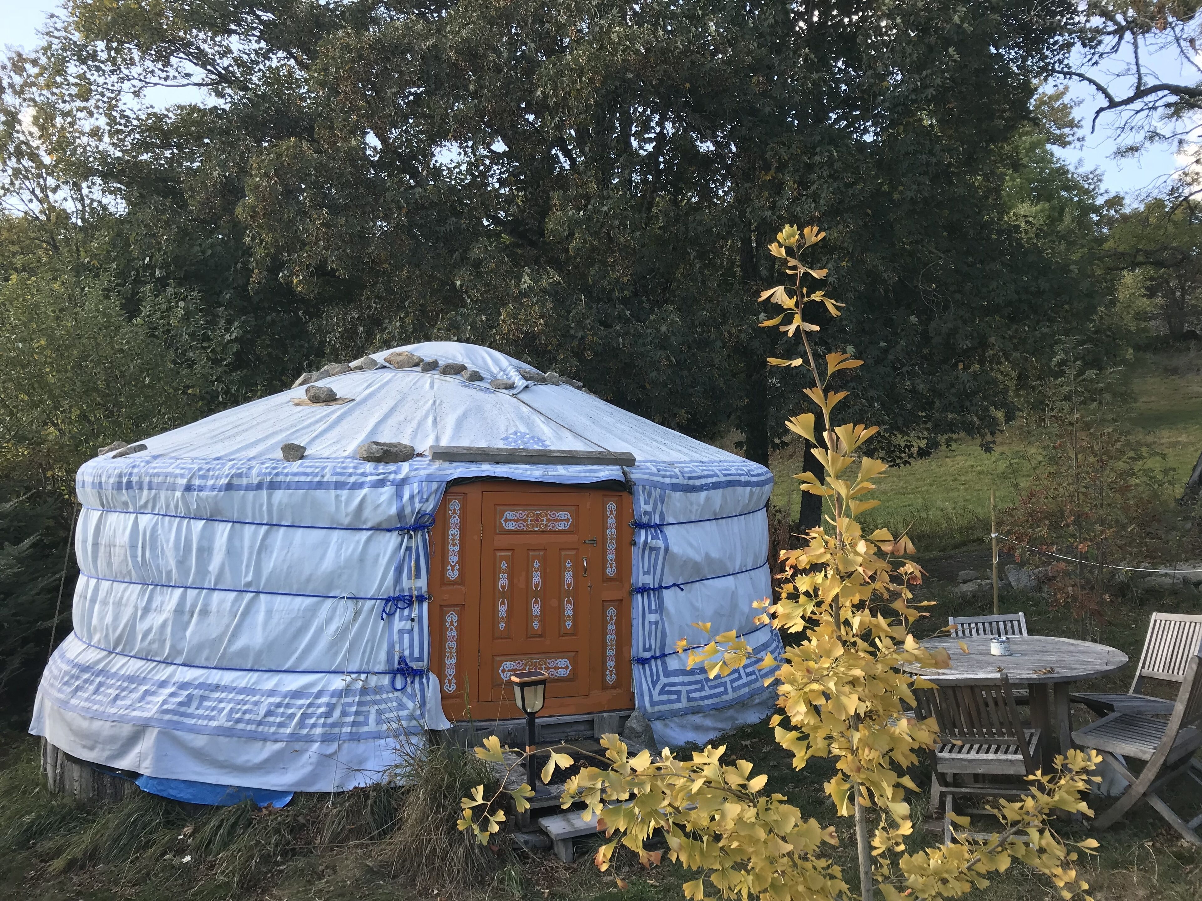 A yurt with a decorative door, surrounded by trees and a small outdoor seating area.
