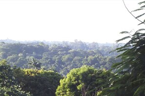 Ausblick vom Zimmer