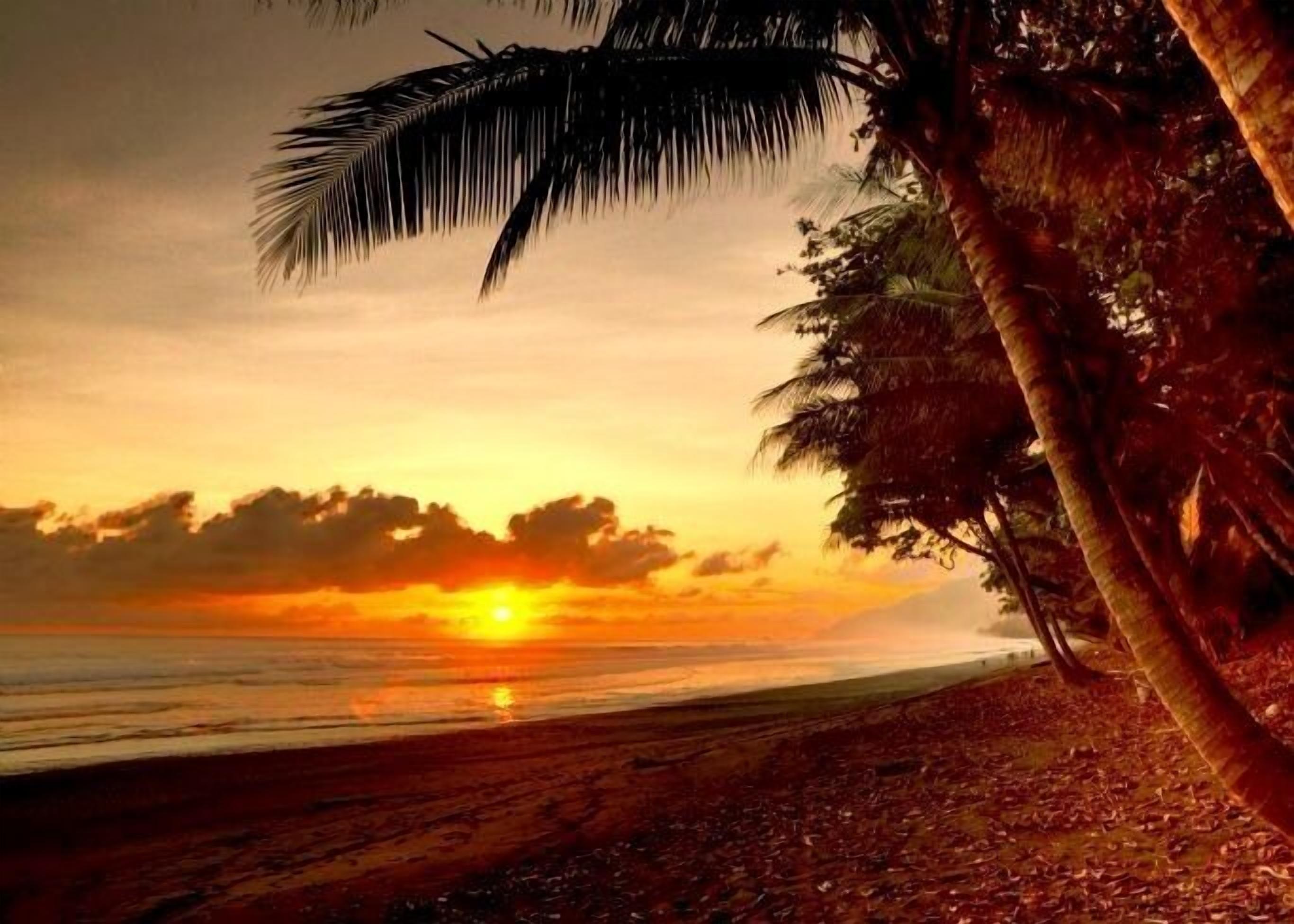 靠近海滩、沙滩椅、海滩遮阳伞、海滩按摩