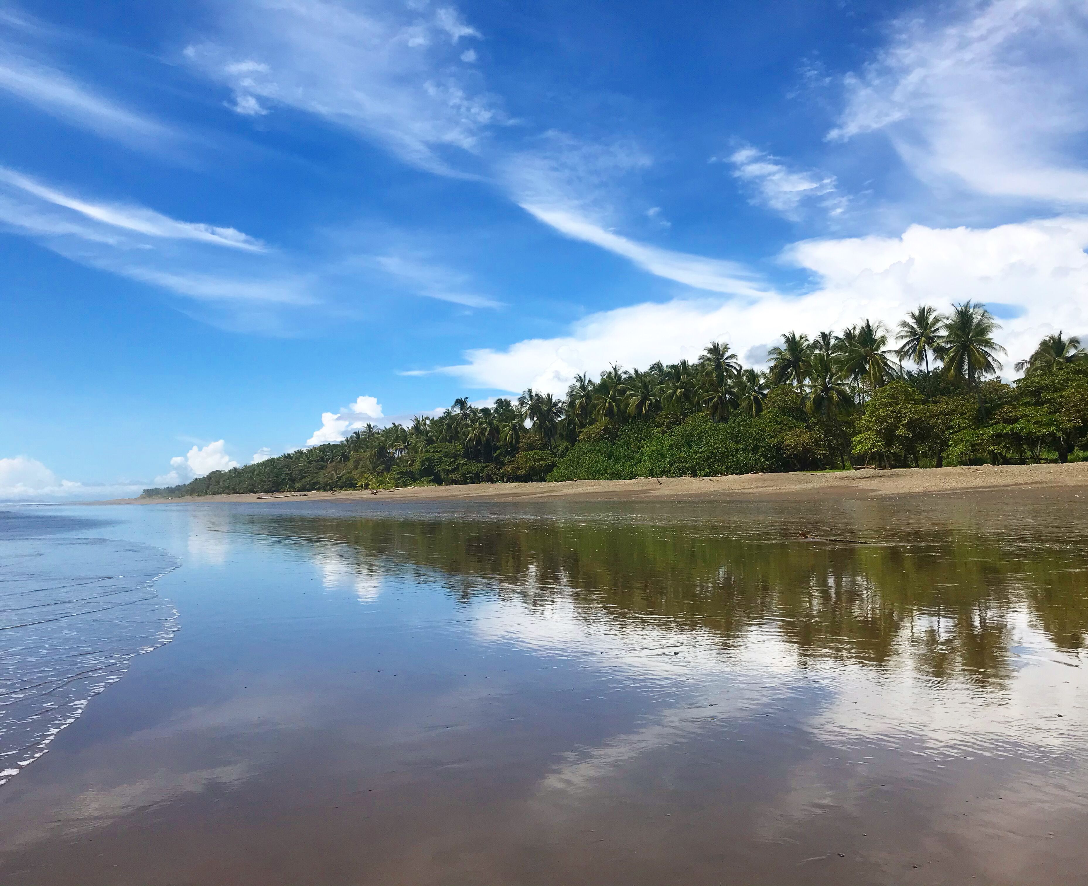 Ubicación cercana a la playa, tumbonas, sombrillas y masajes en la playa