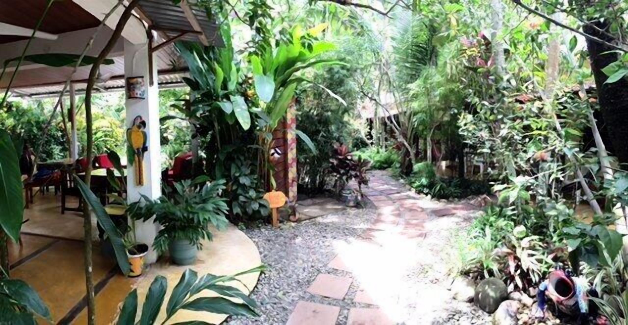 An indoor garden with a variety of plants and a stone pathway.