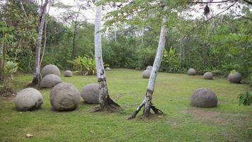Un jardín con árboles y grandes piedras esféricas.