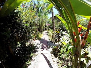 Classic Cabin, Garden View, Garden Area | Interior entrance - Tropical Sands Dominical Eco Inn (Bahía Ballena)