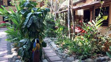 Cabaña clásica, vista al jardín, en el área del jardín | Vista al jardín