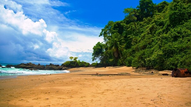 A beach with a sandy shore, a palm tree, and rocky outcrops in the background. - Tropical Sands Dominical Eco Inn (Bahía Ballena)