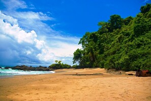 A beach with a sandy shore, a palm tree, and rocky outcrops in the background. - Tropical Sands Dominical Eco Inn (Bahía Ballena)
