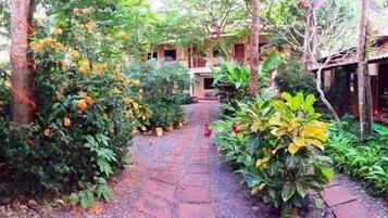 A garden pathway leading to a building with a brick floor and surrounded by lush greenery and flowering plants.