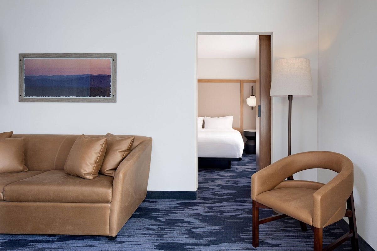 Habitación de hotel con un sofá marrón, una silla, una cama y un cuadro en la pared.