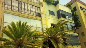 Un immeuble à plusieurs étages doté de balcons, de grandes fenêtres et de quelques éléments de verdure, notamment des palmiers.