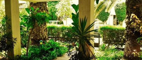 المنطقة المحيطة بالمنشأة