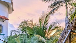 A staircase surrounded by lush greenery and palm trees, with string lights hanging above. - Nayal Lodge (León)