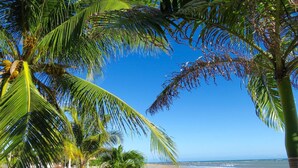 A beach with palm trees, a clear blue sky, and a sandy shore. - Inn Tribus (Trairi)