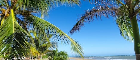 Nära stranden och vit sandstrand