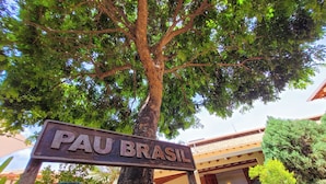 A sign for "PAU BRASIL" with a large tree in the background. - Pousada Galeria Artes (Bonito)