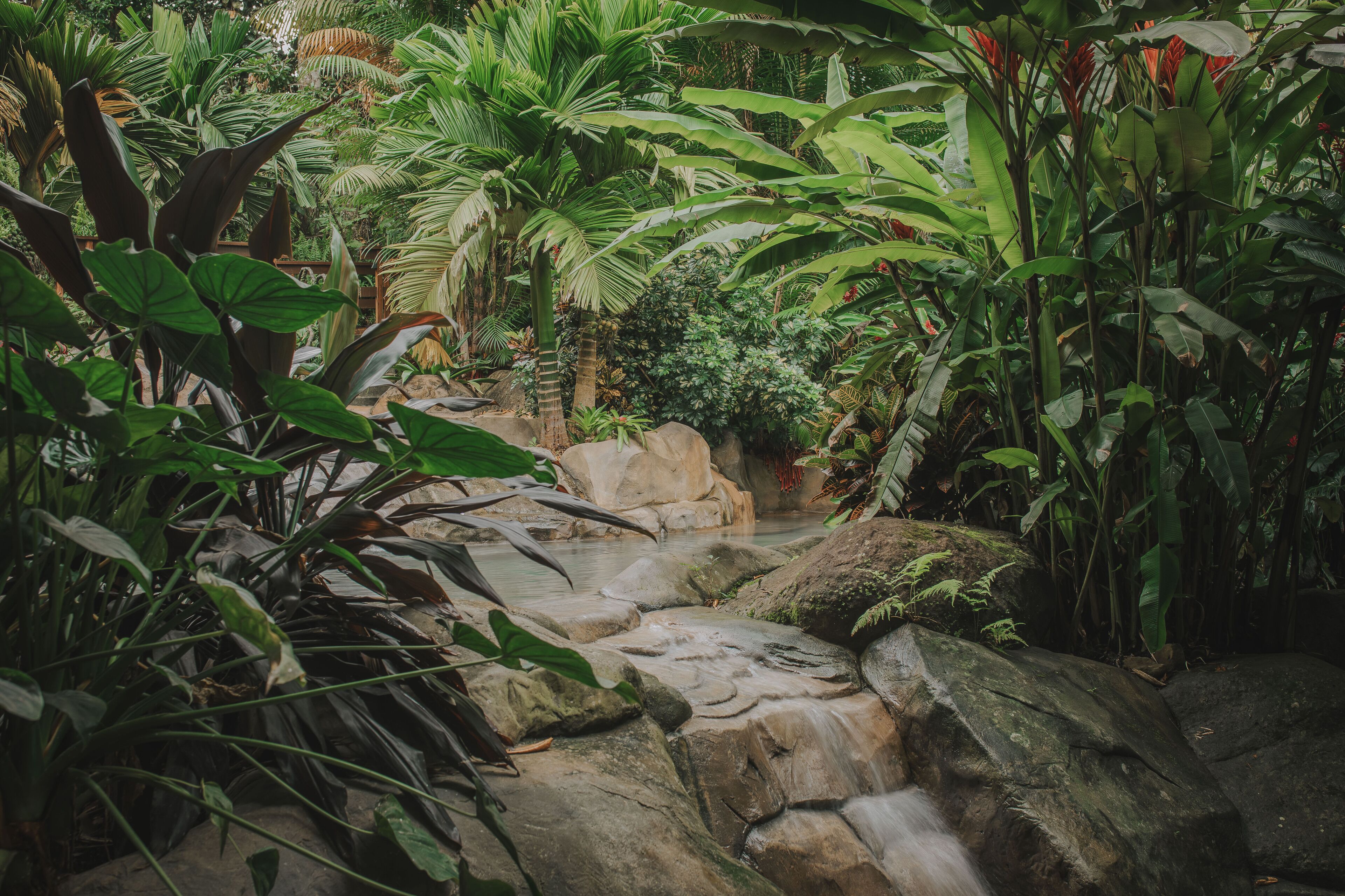 2 albercas al aire libre y camastros 