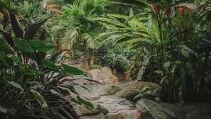 A lush indoor garden with a variety of tropical plants and a small waterfall. - Chachagua Rainforest Hotel & Hot Springs (Peñas Blancas)