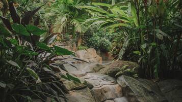 2 outdoor pools, sun loungers