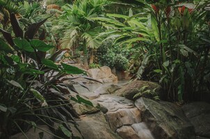 2 室外游泳池，日光浴躺椅