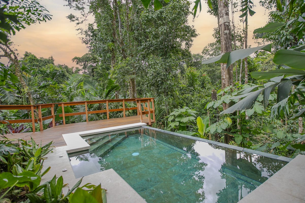 A clear glass infinity pool surrounded by lush greenery and a wooden deck.