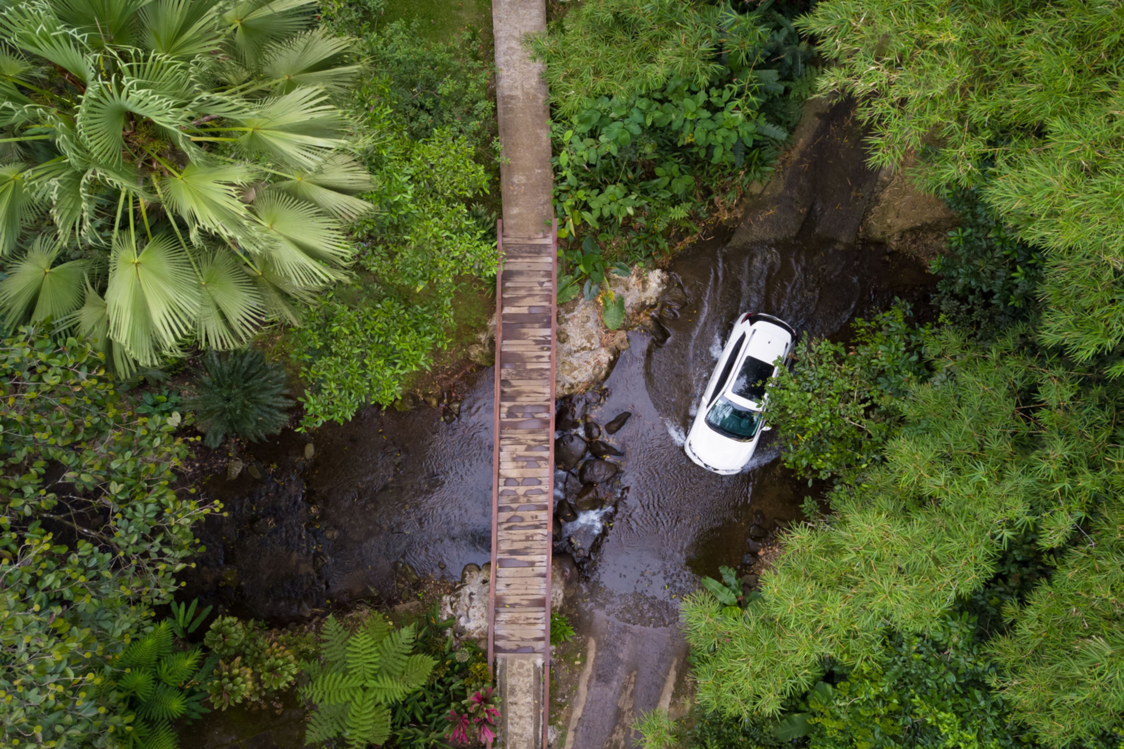 Une voiture blanche sur un pont étroit qui enjambe un ruisseau, dans une zone verdoyante et luxuriante.