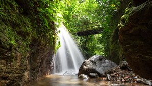 A waterfall in a rocky, moss-covered cave with a wooden bridge. - Chachagua Rainforest Hotel & Hot Springs (Peñas Blancas)