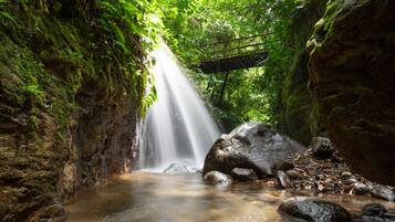 Una cascada en una cueva rocosa cubierta de musgo con un puente de madera.