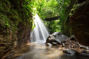 Una cascada en una cueva rocosa cubierta de musgo con un puente de madera.